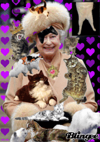 all the queens cats