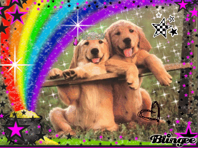 Immagine Cani Innamorati 84748645 Blingee Com