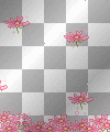 anime pink falling flowers spring
