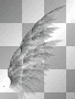 wings-BT