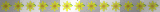 Cute Yellow Daisies Divider