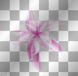 transparent klar deco FLOWER 