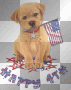 USA July 4th