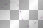 klar  transparent STARS  SPARKLE 