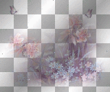 LATO SUMMER  TRANSPARENT 
