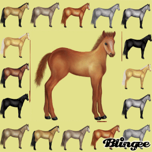 397619383_1068327.gif?4