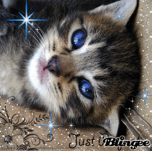 Https Encrypted Tbn0 Gstatic Com Images Q Tbn 3aand9gcsogmketeeyo0vhrso 7sutdjfvl9ifp5hw4wso9mfzel4w9coc Usqp Cau