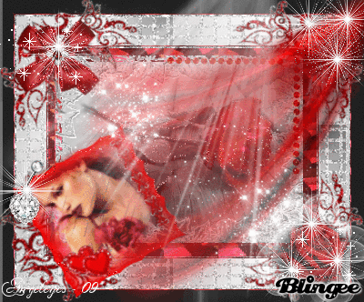 Red Rose Friendship