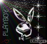 Gift (The Prize Draw Software)