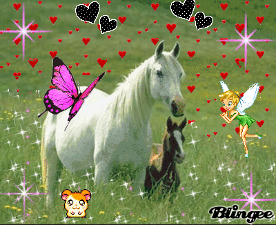 Gif di cavalli selvaggi tumblr