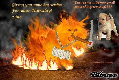 Hot wishes Hot wishes