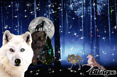 Lupi Balto E Genna Immagini Animate Da Condividere 85450498 Blingee Com