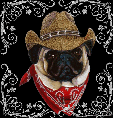 pugs cowboy hats