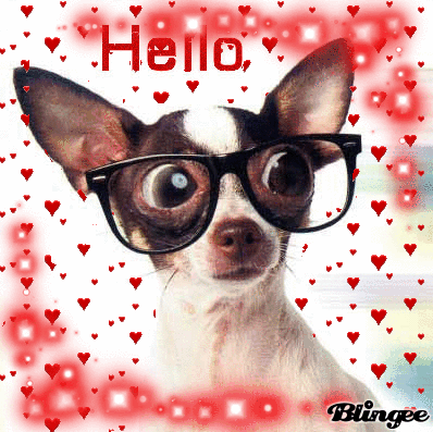 Ciwawa Picture 85759124 Blingee Com Hai cercato ciwawa a palermo. blingee com