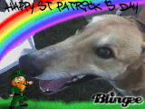 st patricks day 