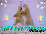 Polar Bears Polar Bears