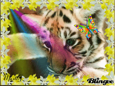 TIGRE TIGRE