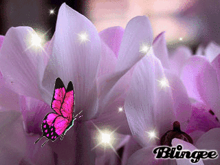 Cyclamen