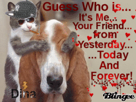 Friends Friends