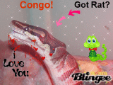 My Congo My Congo