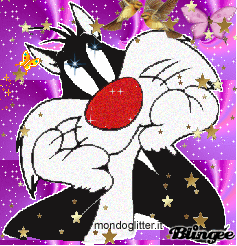 Silvestro Picture 87500374