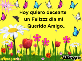 alegre.