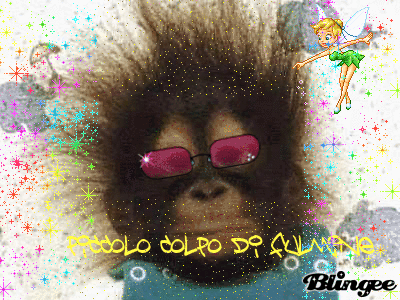 SCIMMIA Picture 87658450