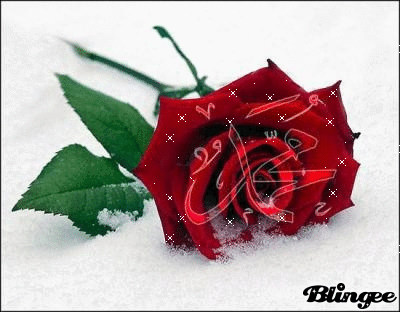 Allah Rose Animated Picture Codes And Downloads 88044655 424255186 Blingee Com