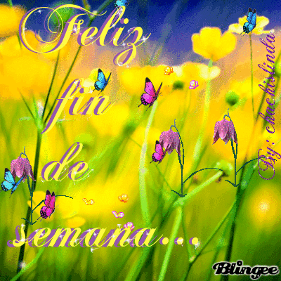 Image result for imagenes de feliz FIN DE SEMANA