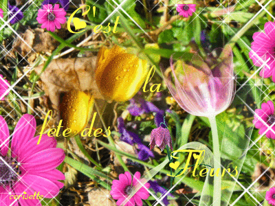 c'est la fete des fleurs