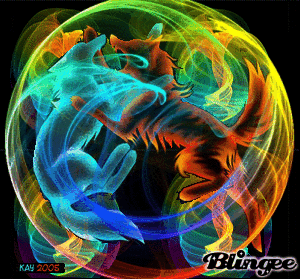Fire And Ice Wolf Wallpaper Gif Fire And Ice Wolf Picture 88778534 Blingee Com blingee com