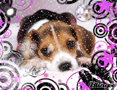 430400820_1503502.gif?4