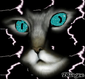 chat 