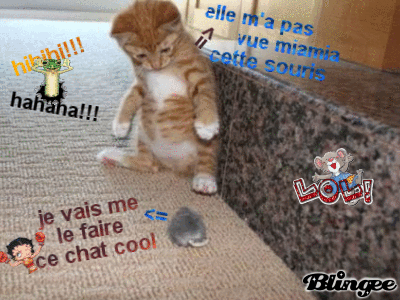 Afficher l'image d'origine