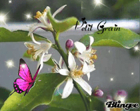 Petit grain