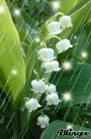 Muguet