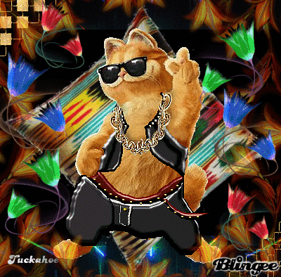 Image result for GARFIELD THE ROCKSTAR