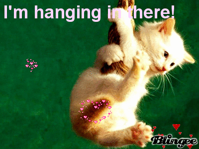 I'm hanging in there! Picture #89768748 | Blingee.com I'm hanging in there! Picture #89768748 | Blingee.com