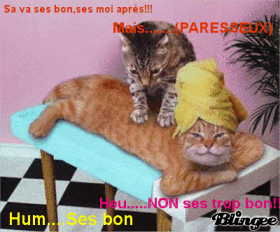 Ici, exposer vos montages ! 421291075_882780