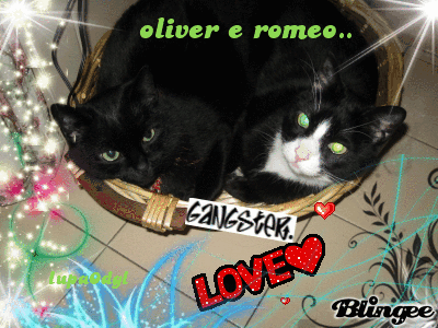 i miei mici 