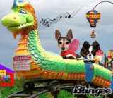 dragon coaster