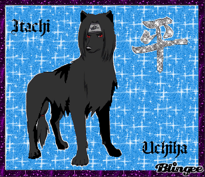 Itachi Uchiha als Wolf Picture #90325773 | Blingee.com