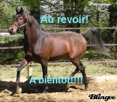 AU revoir!