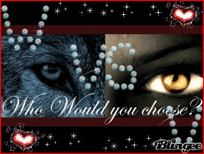 Wolves Vs Vampires Wolves Vs Vampires