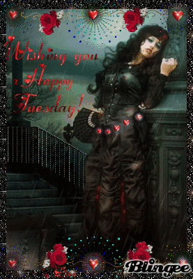Happy Tuesday Happy Tuesday