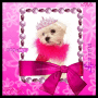 Cane in pink