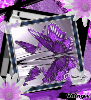 Immagine Farfalle Viola 91527700 Blingee Com Iphoneskyiphone5 iphone wallpaper pinterest wallpaper iphone. blingee com