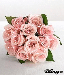 Bouquet de roses