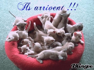 ils arrivent Picture 91981860