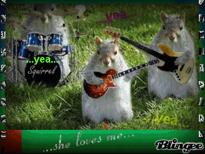 439511888_772082.gif